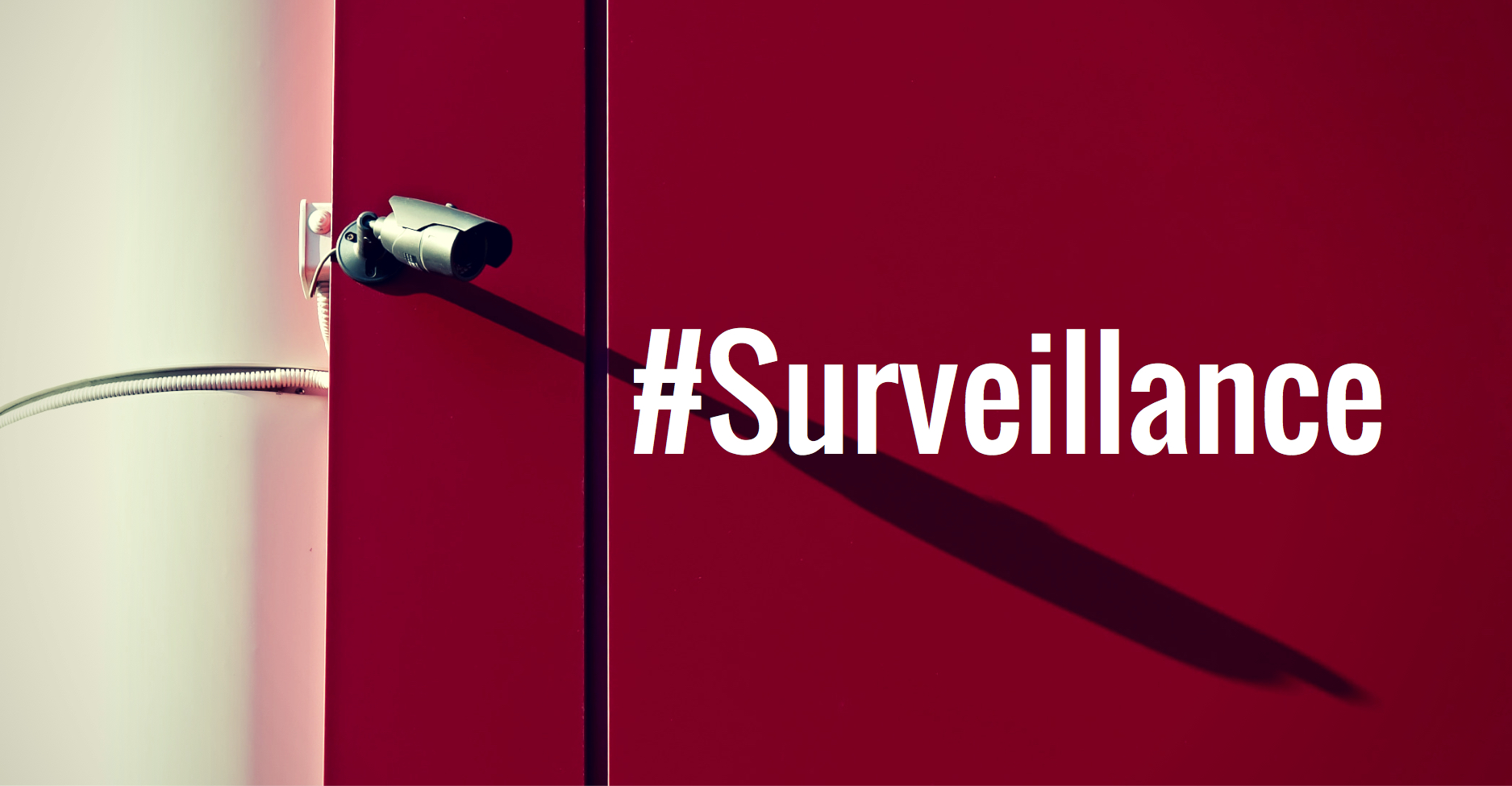 Surveillance, Privacy and the New Congress Further Reading List