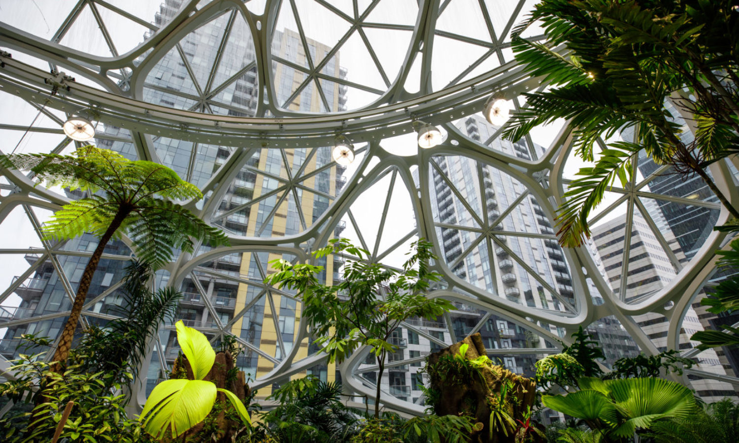 Amazon HQ - The Spheres - Interior