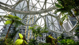 Amazon HQ - The Spheres - Interior Amazon HQ - The Spheres - Interior