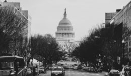 chris grafton 9OPrqaDqLAs unsplash chris grafton 9OPrqaDqLAs unsplash